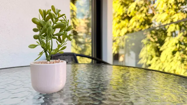 Glass table on the balcony with a small plant and trees behind, at Icon Studio, București