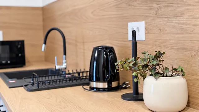 Kitchen detail: a kettle, a plant and a wooden worktop, at Torontal, Timișoara