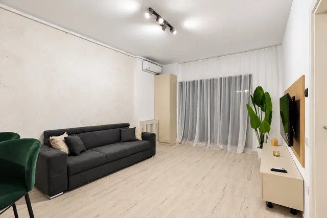 Living room with a grey sofa, a wall-mounted TV and a large plant, at Casa del Mar, Mamaia Nord